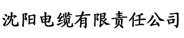 大师兄免费视频观看完整版电缆厂logo